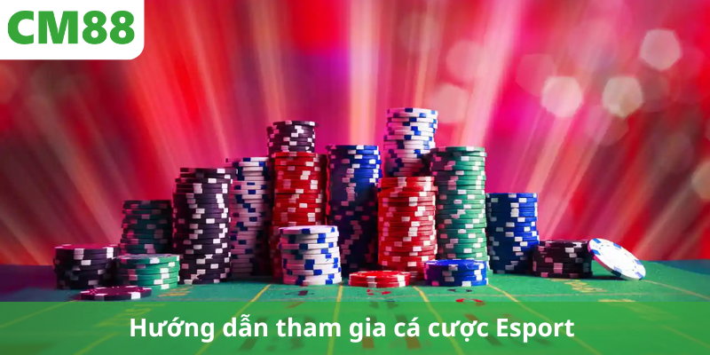 Hướng dẫn tham gia cá cược Esport cho người mới bắt đầu